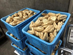 20191115-3.jpg