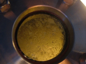 joryu22010.JPG