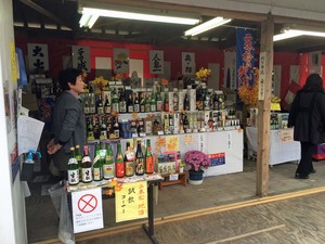 kiku62016.jpg