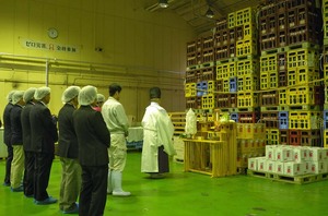 kito12016.jpg