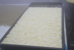 miso11.JPG