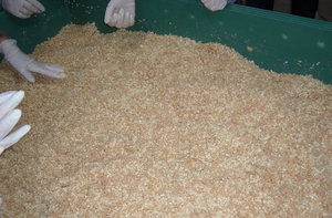 miso13.JPG