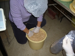 miso14.JPG