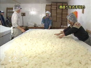 moso3m.JPG