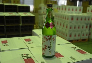 rissyun12017.jpg