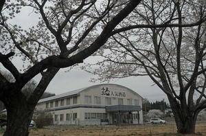 sakura12017.jpg
