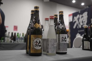 salondusake4.jpg