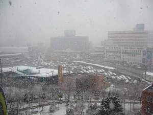 snow.jpg