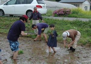 taue.jpg