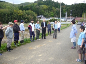 taue31.JPG