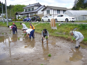 taue32.JPG