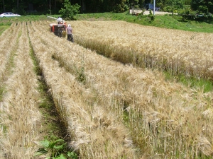 towa22010.JPG