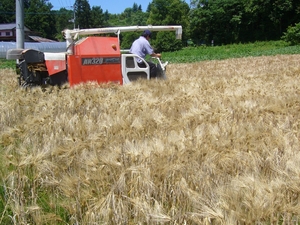 towa42010.JPG