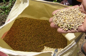 towa52010.JPG