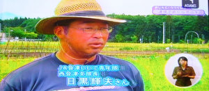 tv1.JPG